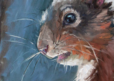 Eichhörnchen, Katrin Göldner, Malerei, 15 x 20 cm