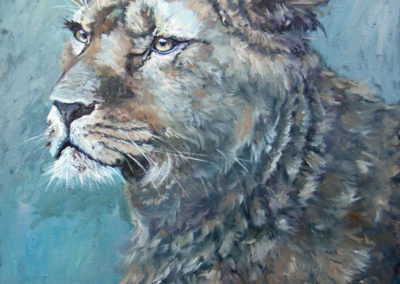Löwin, Katrin Göldner, Malerei, 50 x 50 cm
